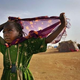 Illustration for article titled Why I'm Sending My Tutu to Ghana